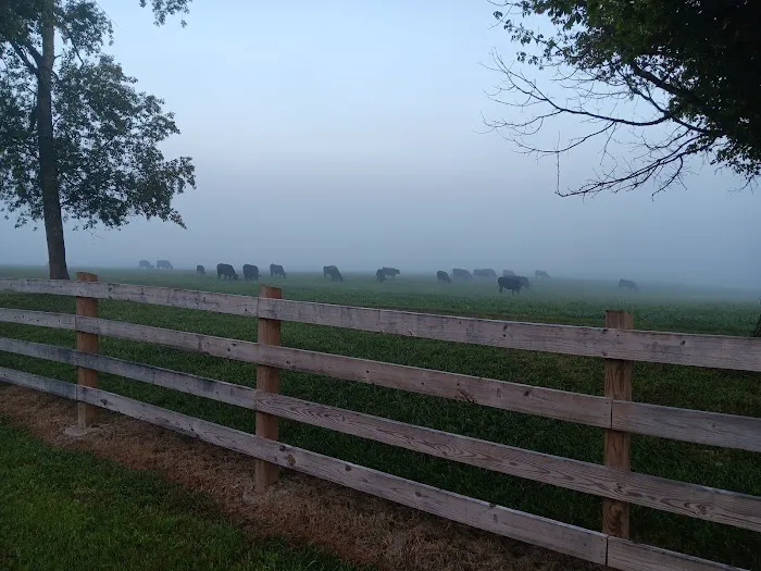 Travel Trailer Center Inc. Picture 4