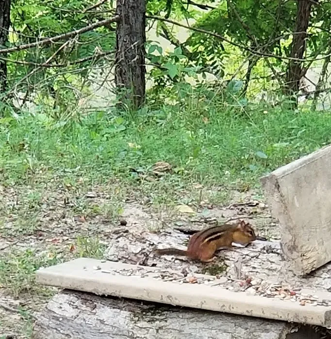 Davlin Lake Picture 8