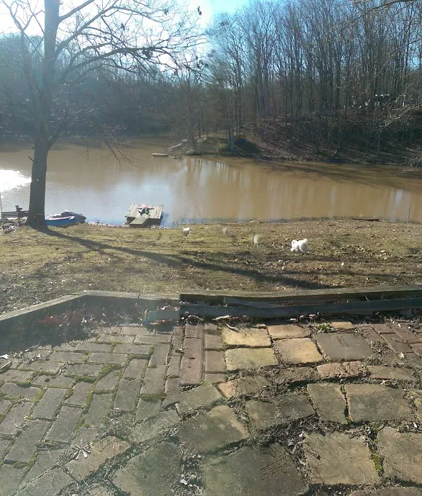 Davlin Lake Picture 3