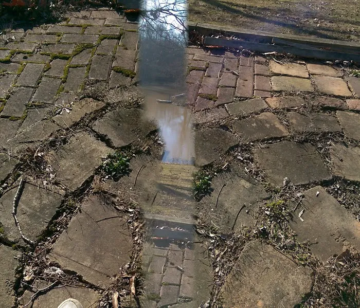 Davlin Lake Picture 2