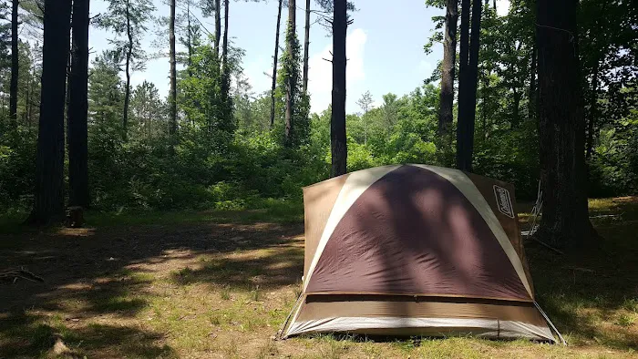 Sawmill Road Campground D - Jesse Owens State Park Picture 1