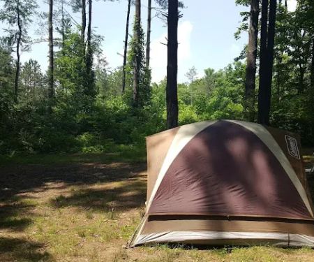 Sawmill Road Campground D - Jesse Owens State Park