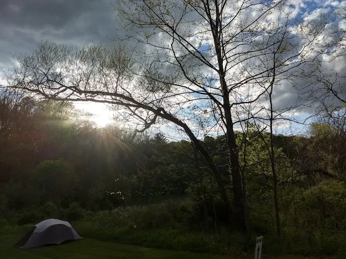 Sawmill Road Campground D - Jesse Owens State Park Picture 6