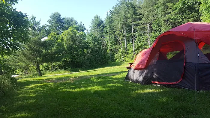 Sawmill Road Campground D - Jesse Owens State Park Picture 2