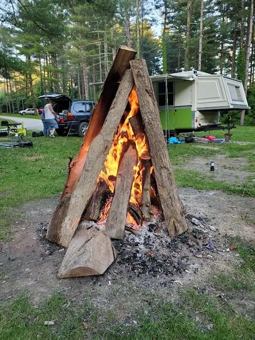 Sawmill Road Campground D - Jesse Owens State Park Picture 9