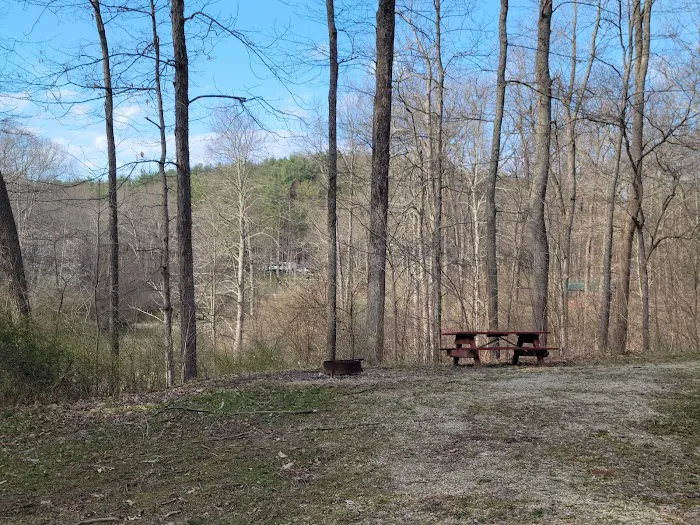 Jesse Owens State Park - Hook Lake Campground Picture 9