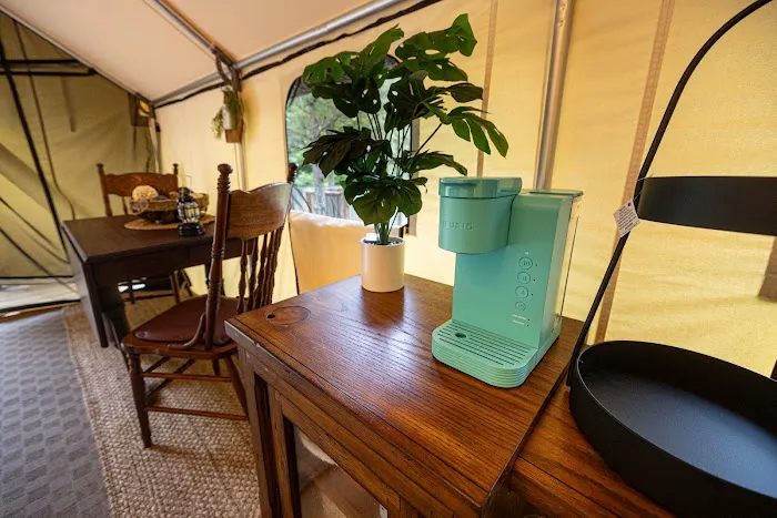 The Wild Pines Picture 1