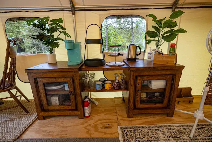 The Wild Pines Picture 2