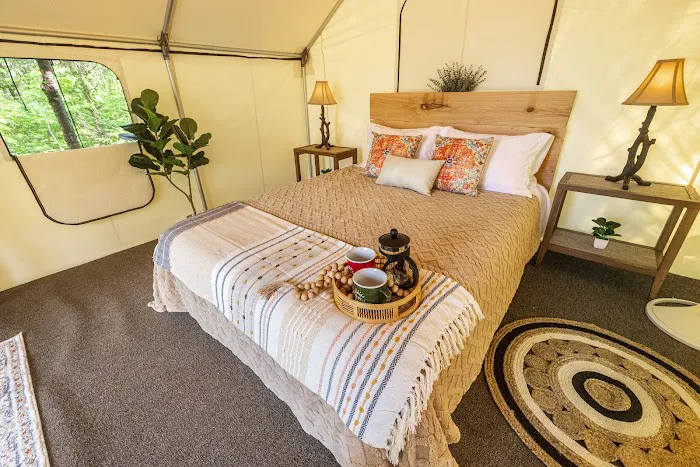 The Wild Pines Picture 3