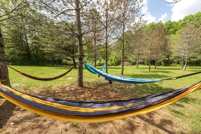 The Wild Pines Picture 9