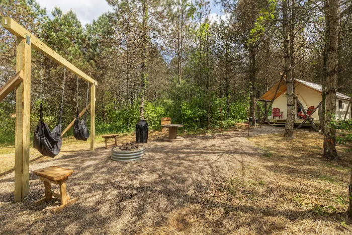 The Wild Pines Picture 6