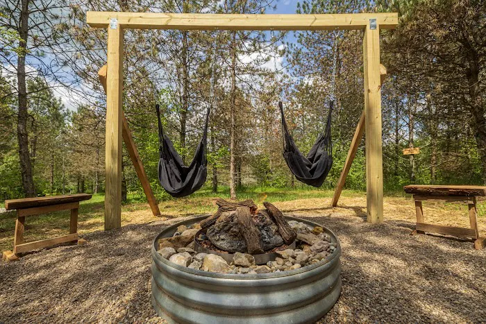 The Wild Pines Picture 10