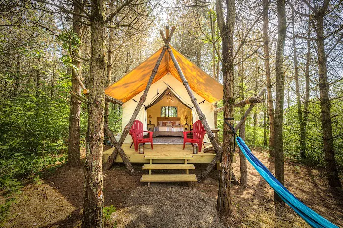 The Wild Pines Picture 7