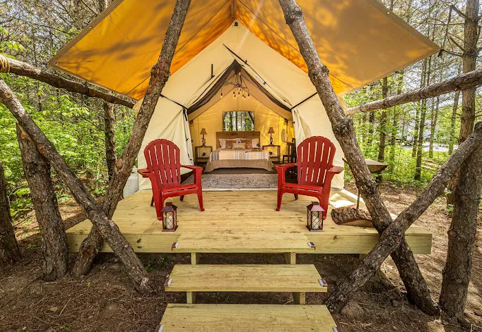 The Wild Pines Picture 8