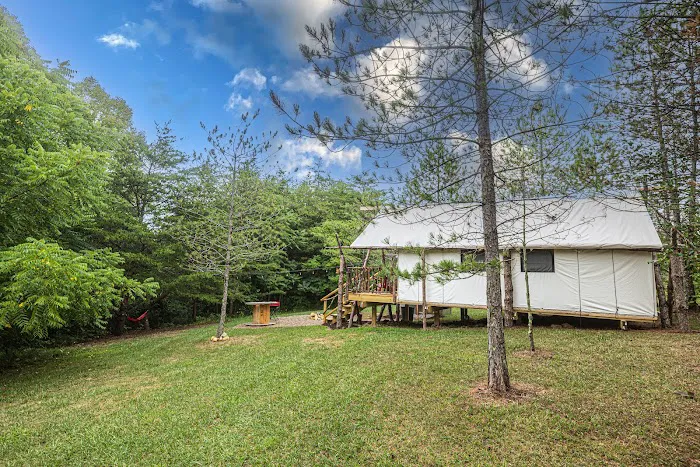 The Wild Pines Picture 5