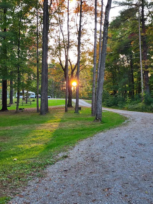 Jesse Owens State Park-Maple Grove Campground G Picture 3