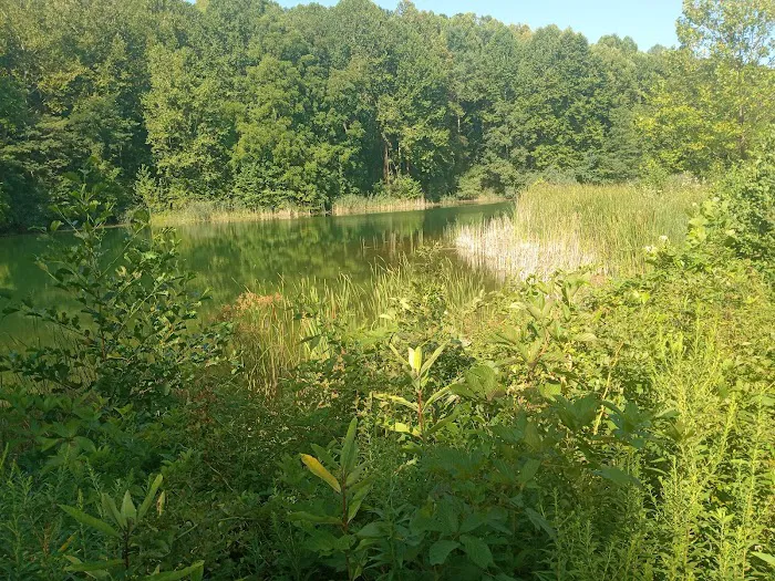 Jesse Owens State Park-Maple Grove Campground G Picture 9