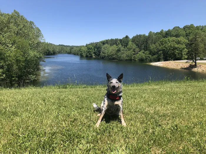 AEP Recreation Land Campground C Picture 9