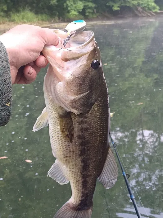 AEP Recreation Land Campground C Picture 8