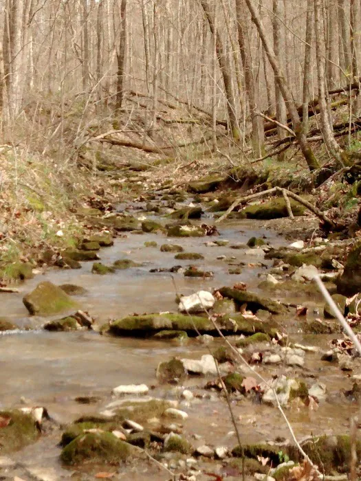 AEP Recreation Land Campground C Picture 6