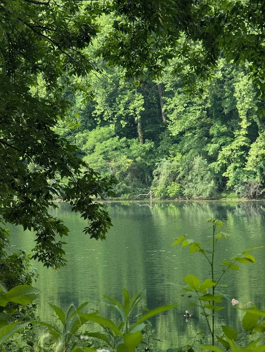 Campsite C - Sand Hollow Picture 3