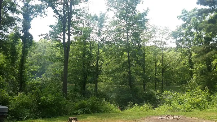 Campsite C - Sand Hollow Picture 1