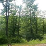 Campsite C - Sand Hollow