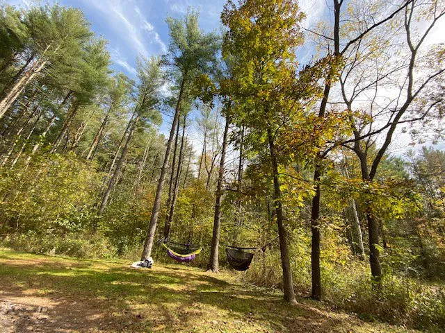 Campsite C - Sand Hollow Picture 2