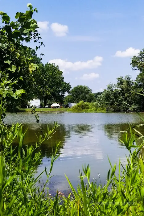 Blennerhassett RV Park Picture 1