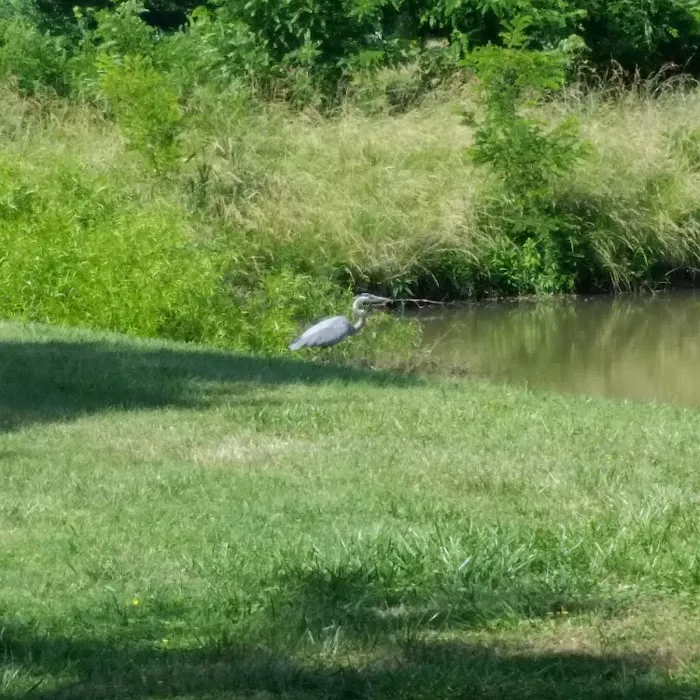 Blennerhassett RV Park Picture 7
