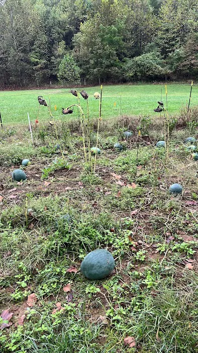 Uncle Eddie's Picture 7