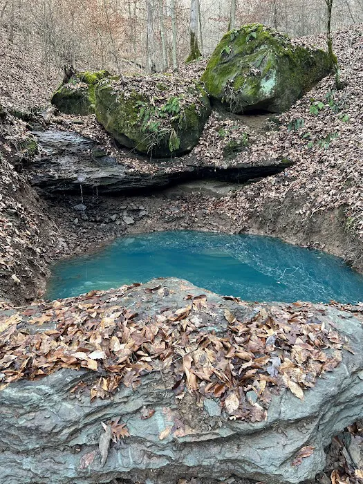 Uncle Eddie's Picture 9