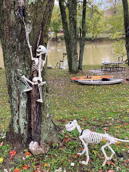 Riversedge Campground & Marina Picture 8