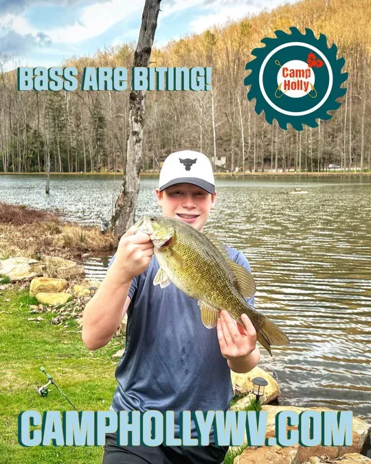 Camp Holly Picture 1