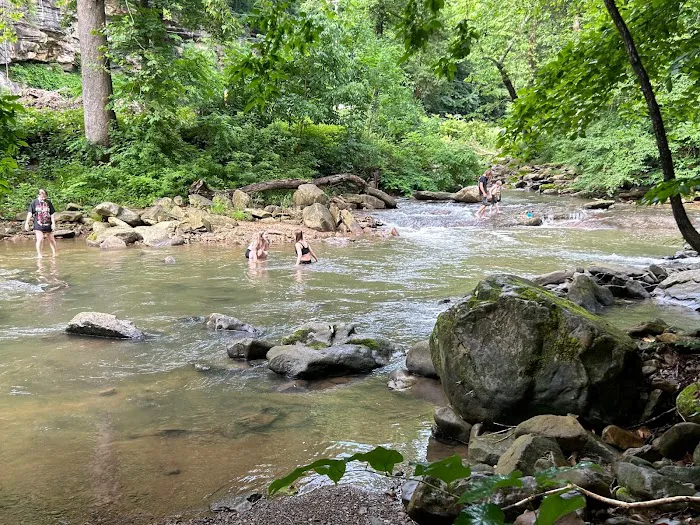 Camp Holly Picture 5