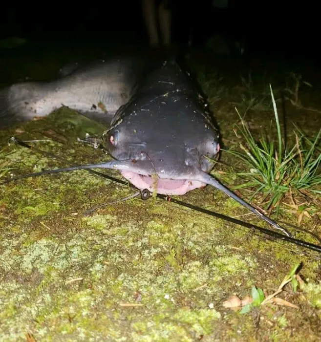 Pete's Lake And Campground Picture 3