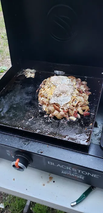 Gerald Freeman Campground Picture 1