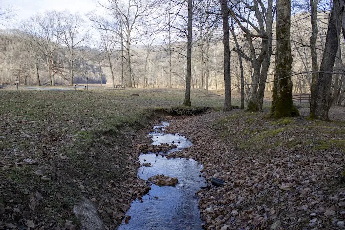 Baker's Run Campground Picture 8