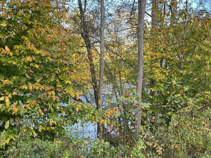 Elk River Camp and RV Picture 9