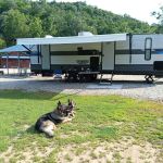 Elk River Camp and RV