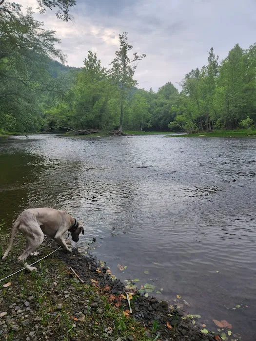 Elk River Camp and RV Picture 6