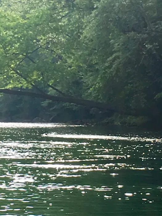 Elk River Campground Picture 2