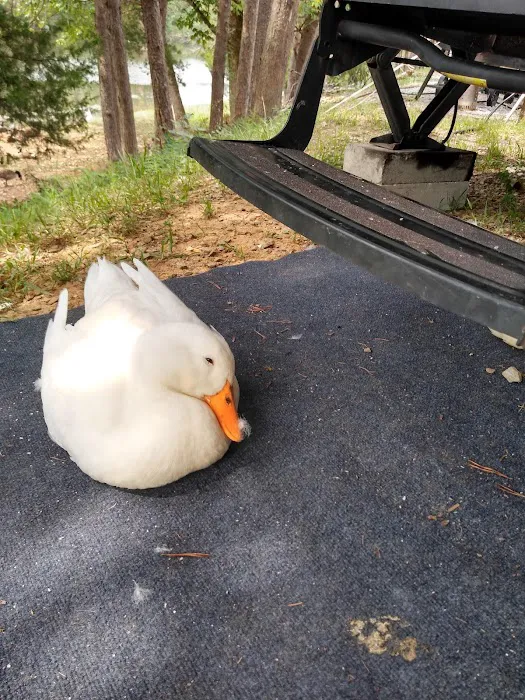 Paradise Lake and Campground Picture 6