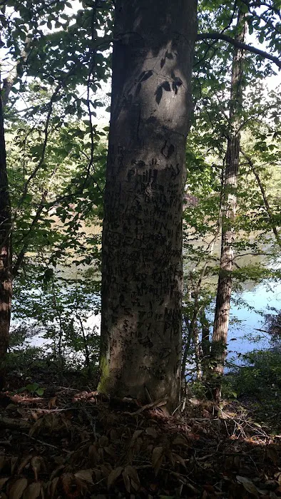 Paradise Lake and Campground Picture 5