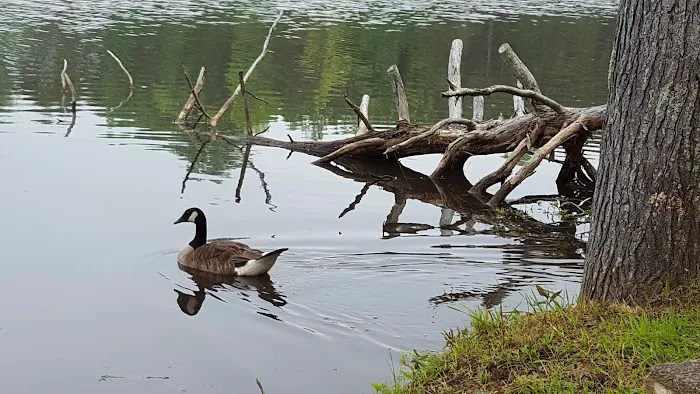 Paradise Lake and Campground Picture 10