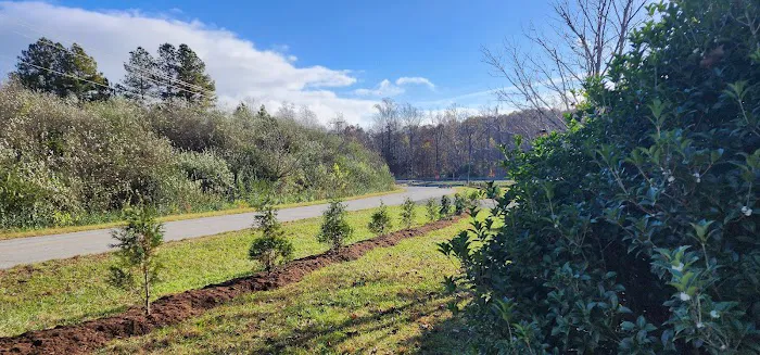 Simple Site RV Picture 5