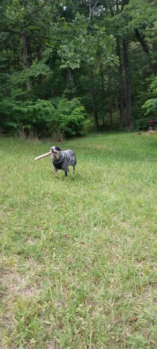 Goose Dam Campground Picture 3