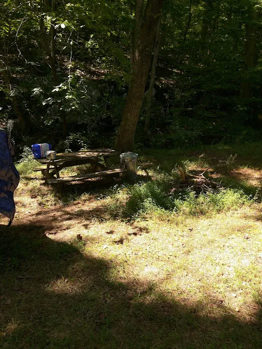 Goose Dam Campground Picture 6