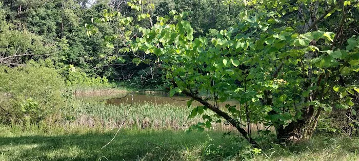 Goose Dam Campground Picture 1