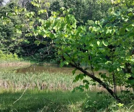 Goose Dam Campground